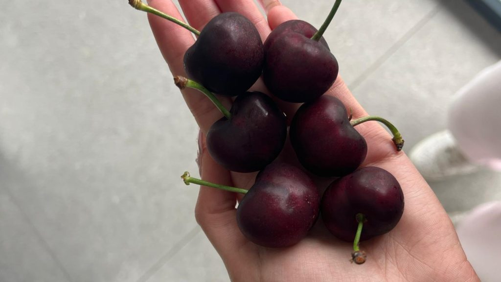 Propiedades y beneficios de las cerezas