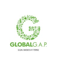 sello global gap